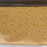 Sponge